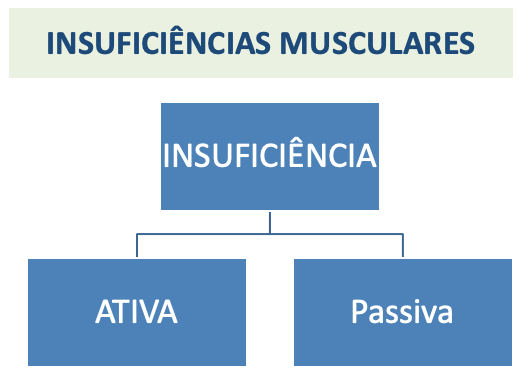 Insuficincias Musculares Ativa E Passiva Felipe Barros