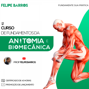 Curso de fundamentos da anatomia e biomecânica