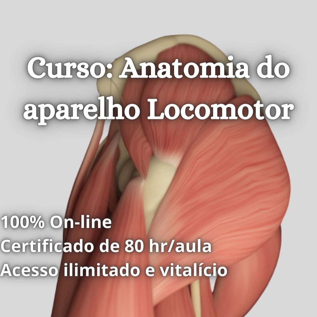 Anatomia Do Aparelho Locomotor — Felipe Barros