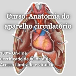 Anatomia do sistema circulatório – Cardiovascular
